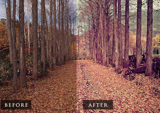 Lightroom preset hangat Download lightroom preset hangat